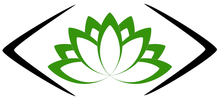 Kyle Niemiec – CodeFlower